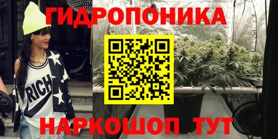 a pvp Бийск