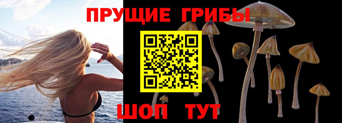 Псилоцибиновые грибы GOLDEN TEACHER Советский