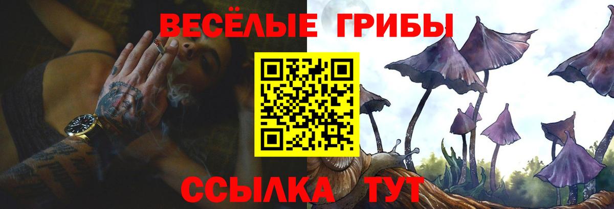 Советский  Галлюциногенные грибы Psilocybine cubensis  Галлюциногенные грибы Cubensis  Вход с VPN 